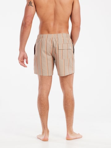 PROTEST Badeshorts 'PRTGonz' in Braun: Vorderseite