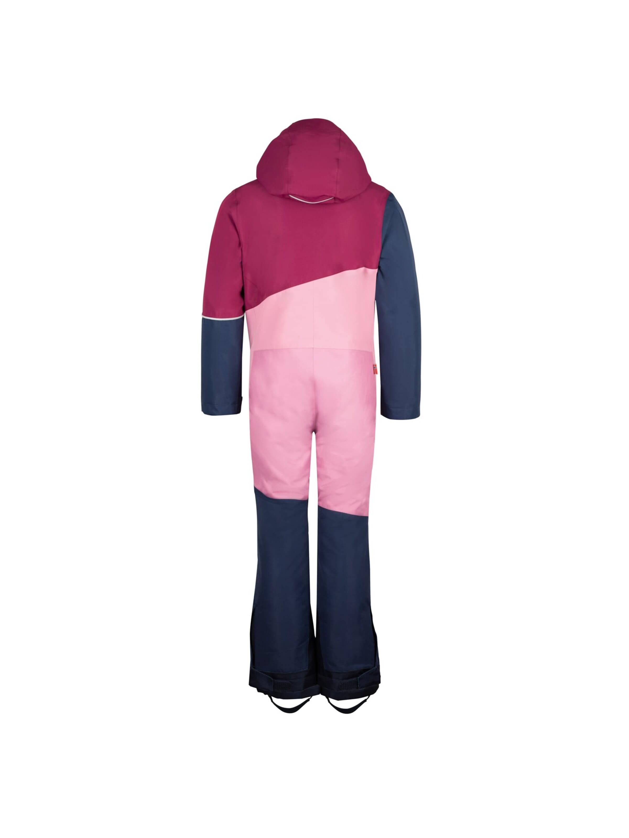 TROLLKIDS Regular fit Dungarees in Purple