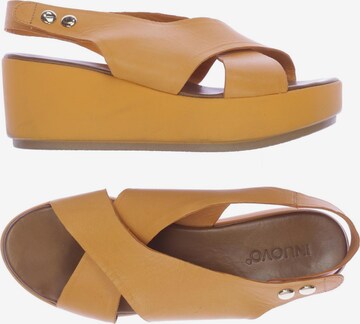 INUOVO Sandals & High-Heeled Sandals in 40 in Orange: front