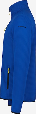 ICEPEAK Funktionele fleece-jas 'Berthold' in Blauw