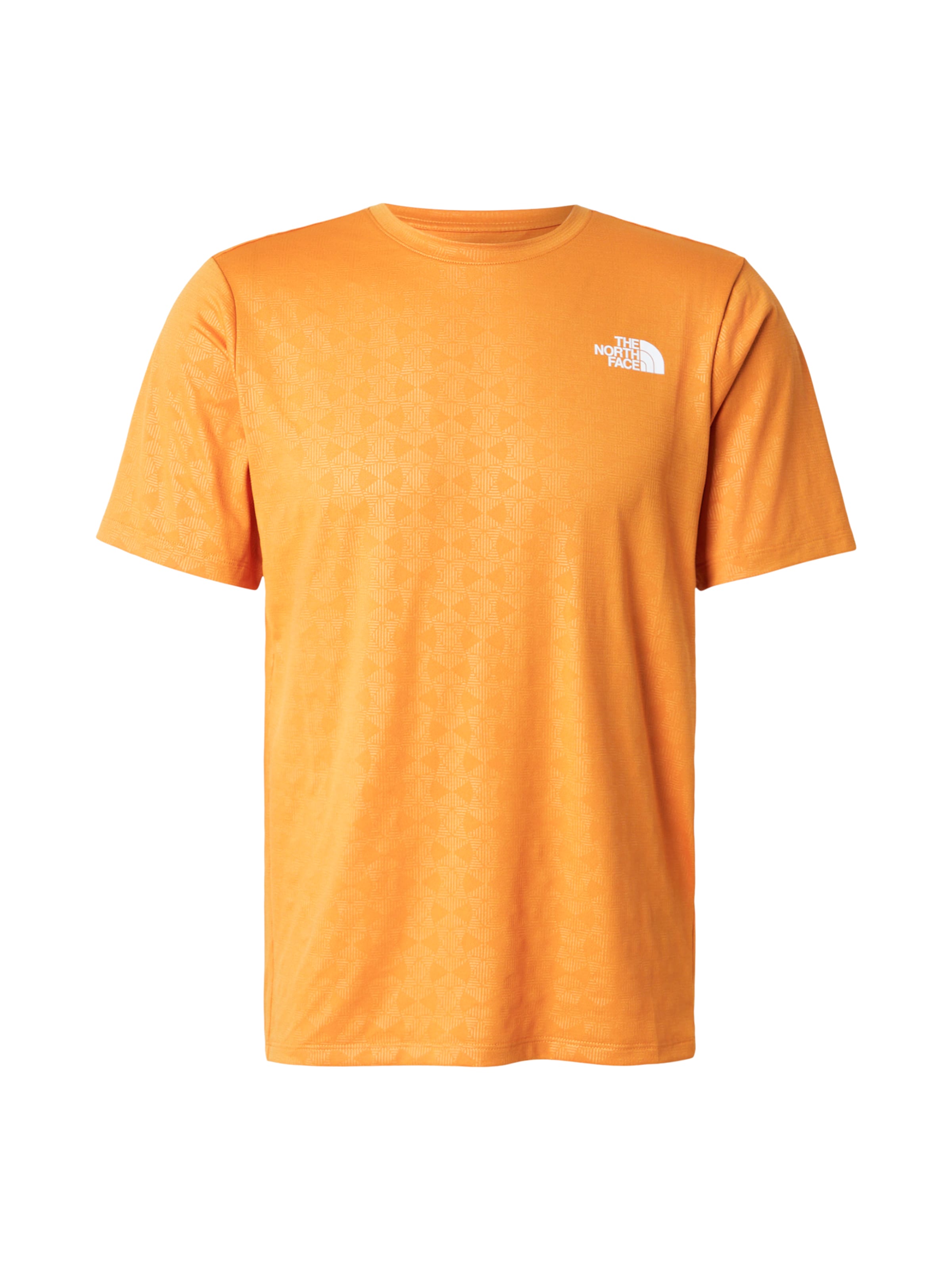 Maglia funzionale 'PENTADOME' di THE NORTH FACE in arancione: frontale