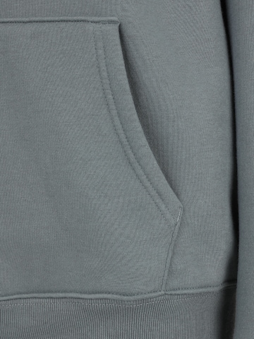 Gap Tall Mikina 'HERITAGE' – šedá