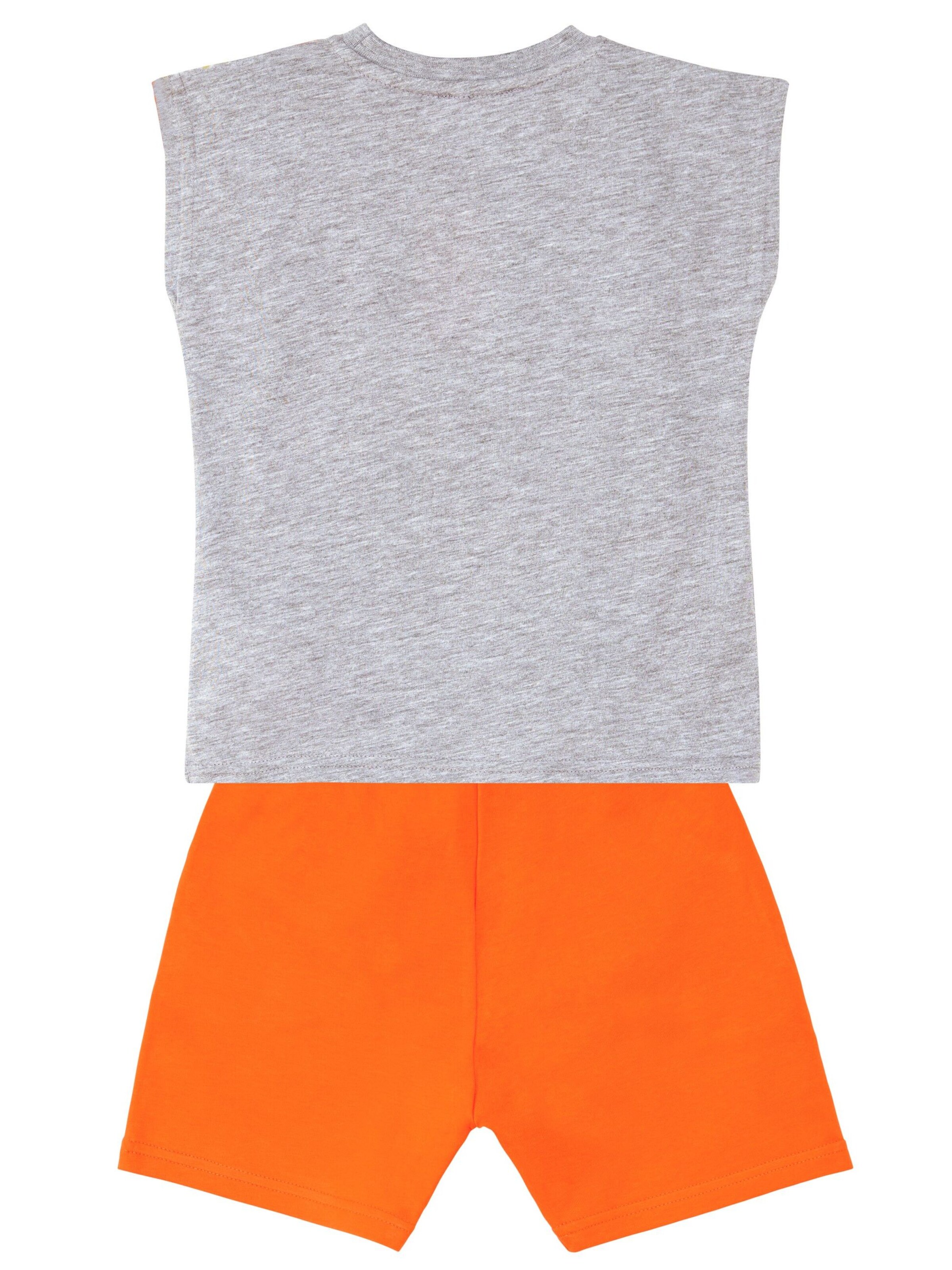 Survêtement 'T-Rex Flame' Denokids en gris