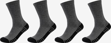 SKECHERS Socken in Grau: predná strana