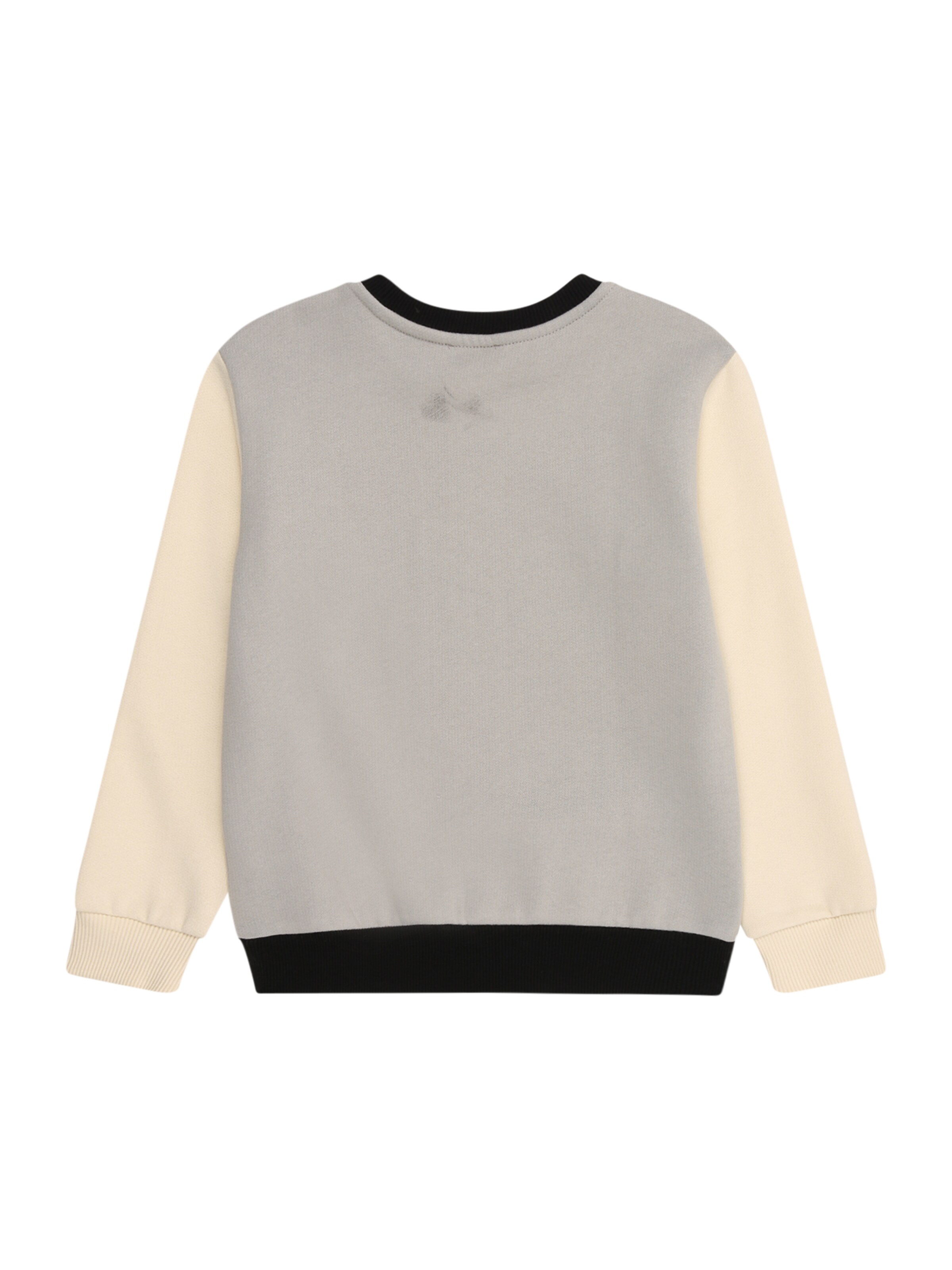 UNITED COLORS OF BENETTON Majica | siva barva