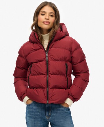 Superdry Tussenjas in Rood