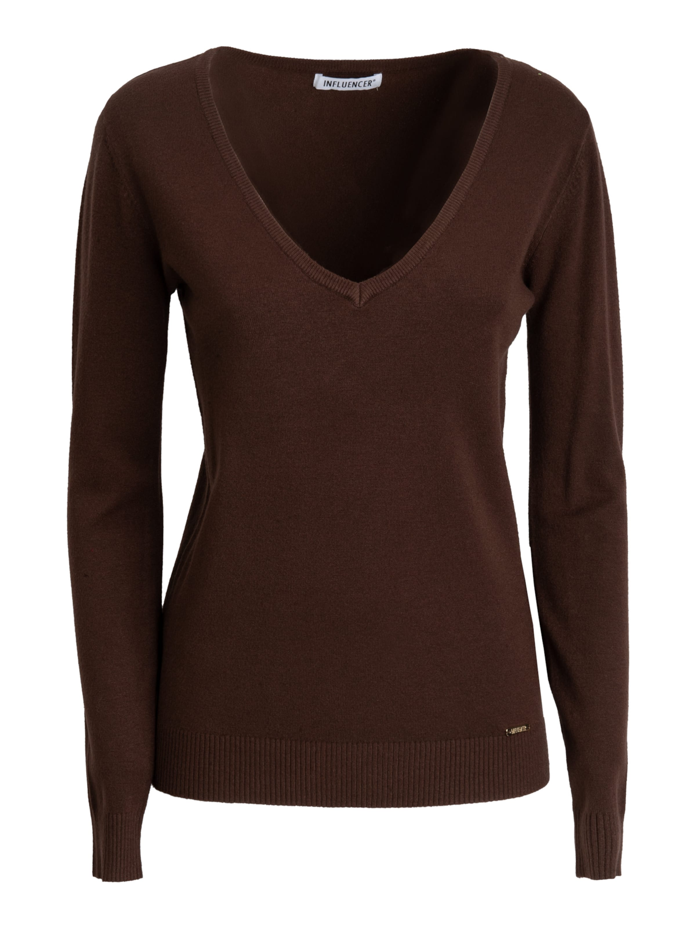 Influencer Sweater in Brown: front