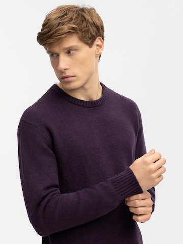 Antargo Sweater 'Bruno' in Purple