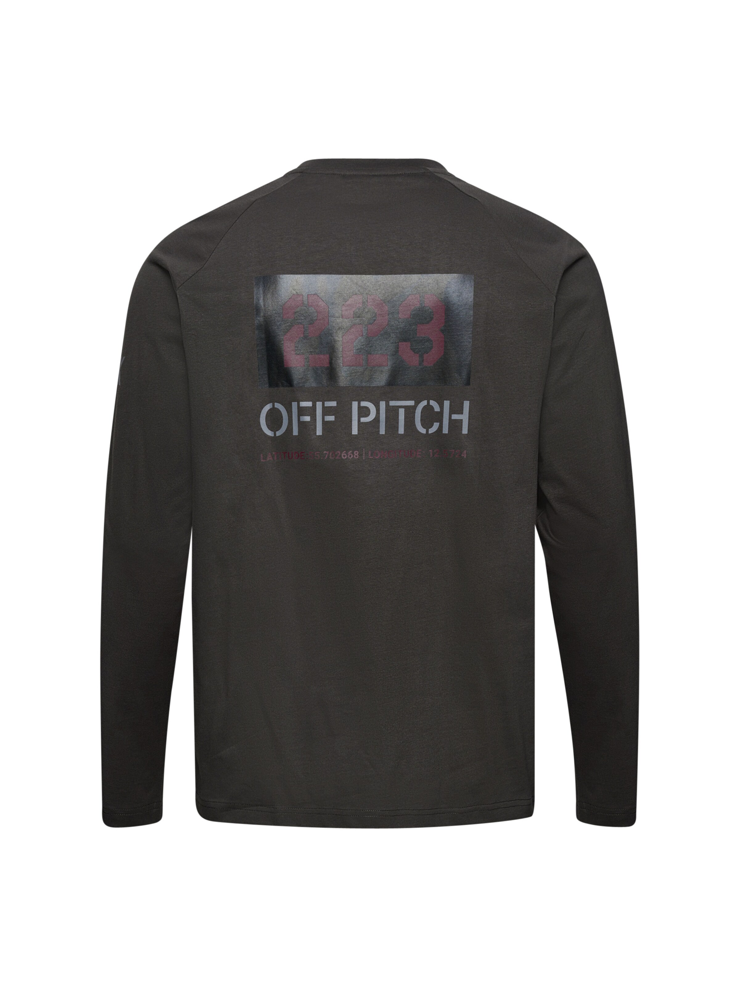 HALO Shirt 'HALO x DBU' in Grau