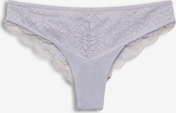 ESPRIT - Cueca em roxo: frente