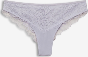 Slip ESPRIT en violet : devant