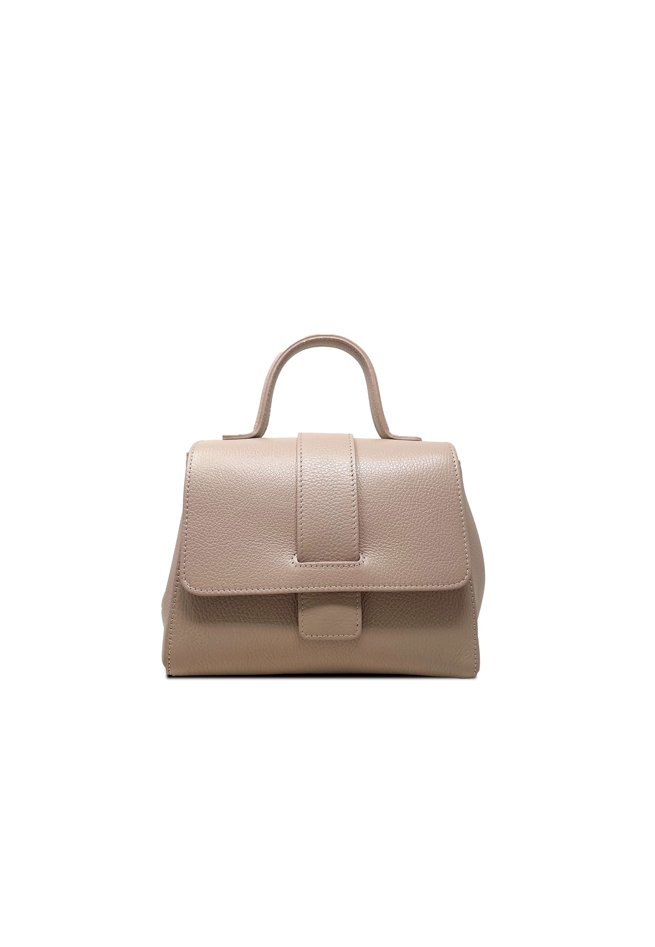 CHICCA BORSE Handbag in Pink: front