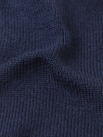 Reima Handschoenen in Blauw