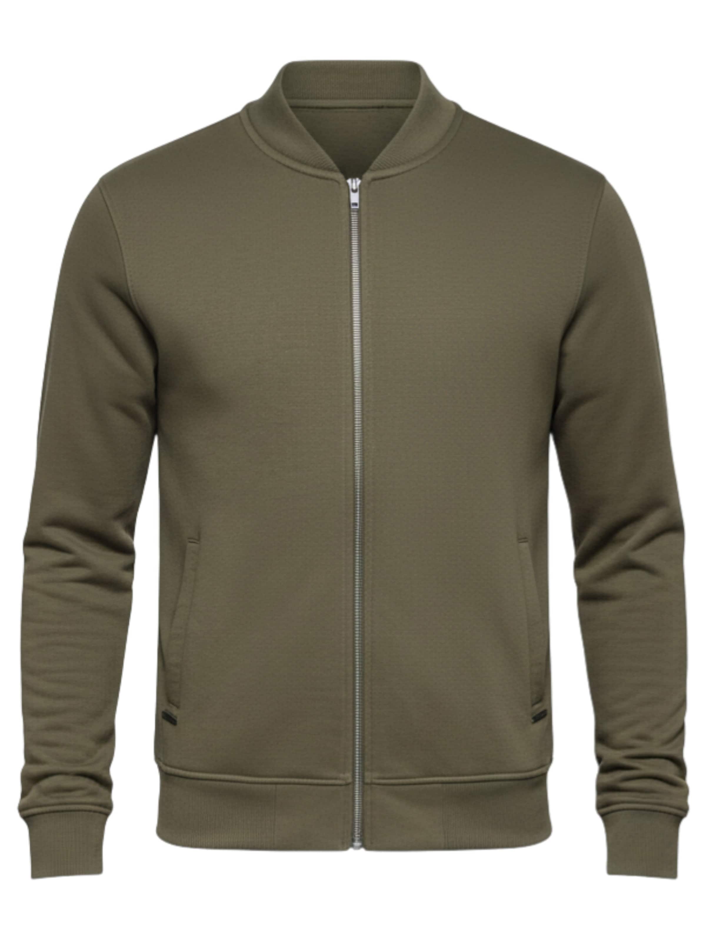 Ombre Sweat jacket 'OM-SSZP-0215' in Green: front