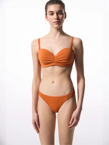 Penti Bikini nadrágok 'Bikinihosen' - narancs