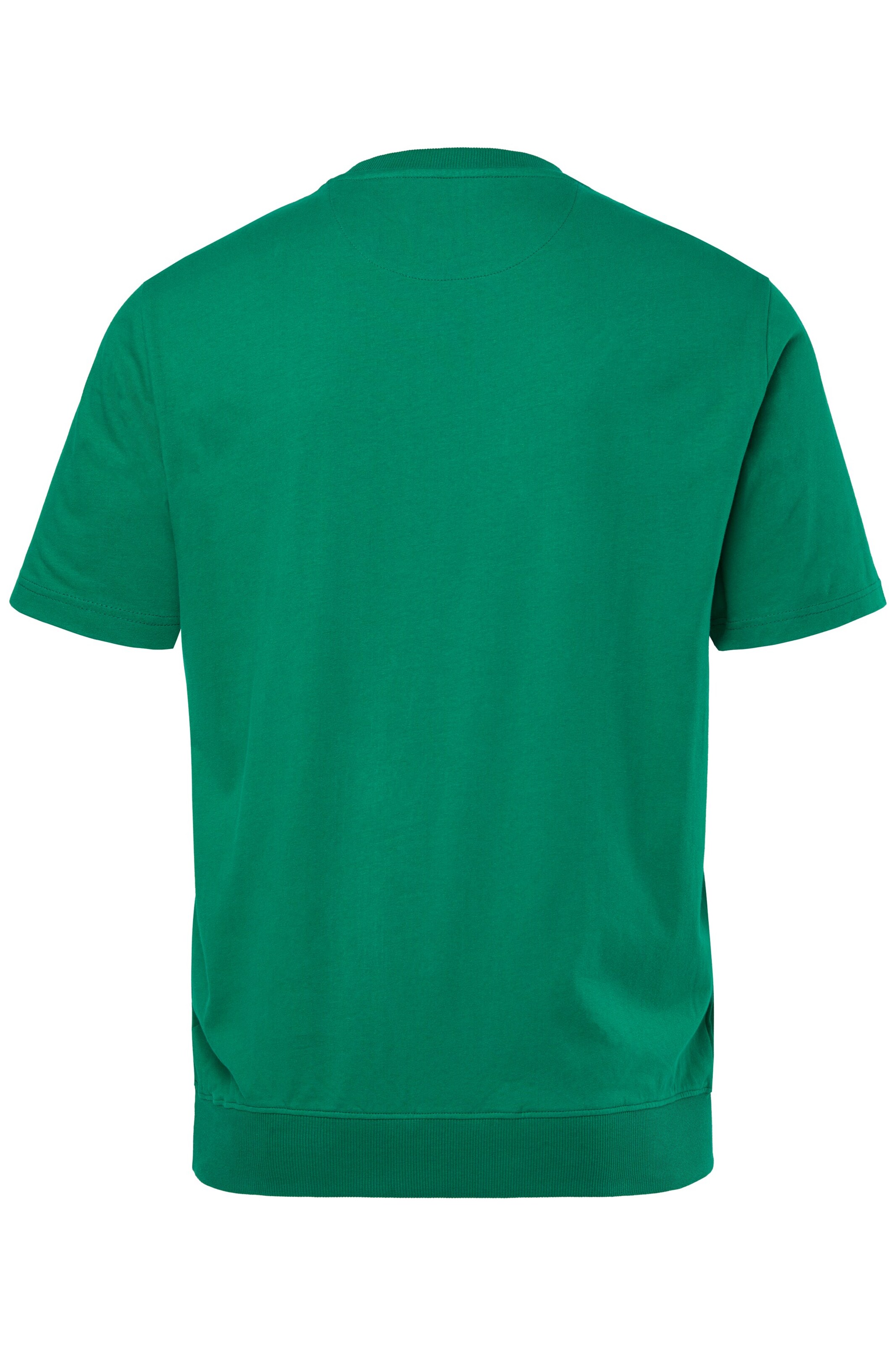 Men Plus Shirt in Green