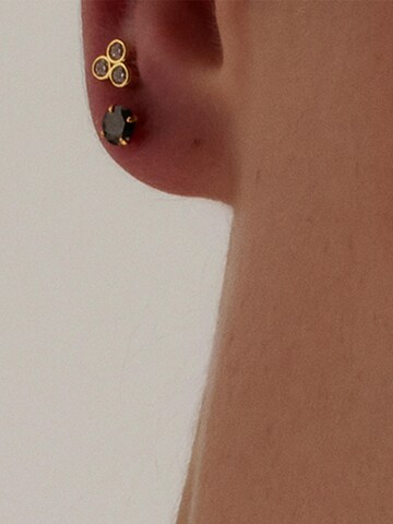 Luxenter Earrings 'Otieno' in Black