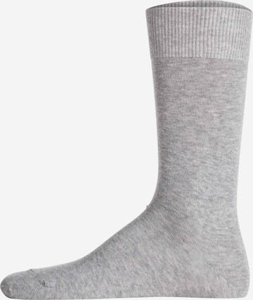 LACOSTE Socken in Grau