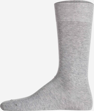 Chaussettes LACOSTE en gris