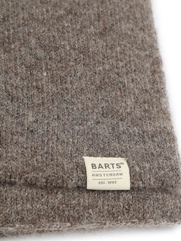 Barts Scarf 'Lowel' in Grey