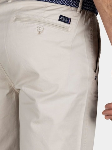 NZA New Zealand Auckland Regular Broek in Beige