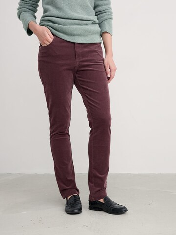 Regular Pantalon 'Lamledra' Seasalt Cornwall en marron : devant