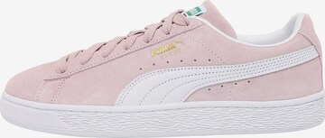 Sneaker bassa 'Classic' di PUMA in rosa: frontale