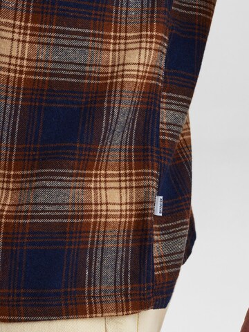 Dxnmxrk Shirt 'DXEdlef' in Bruin