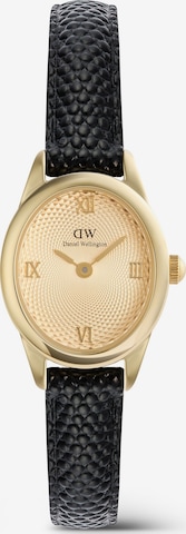 Daniel Wellington Analoguhr in Gold: Vorderseite