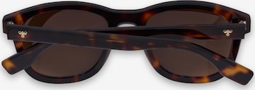 Hummel Sunglasses in Brown