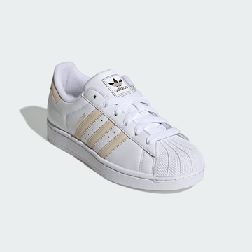 Baskets basses 'Superstar II' ADIDAS ORIGINALS en blanc