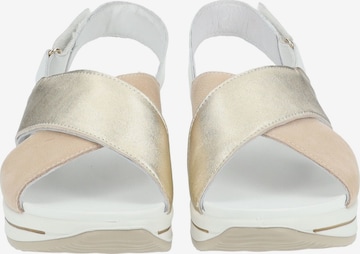 Sandales IGI&CO en beige