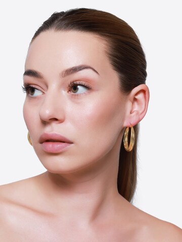 Boucles d'oreilles Heideman en or : devant