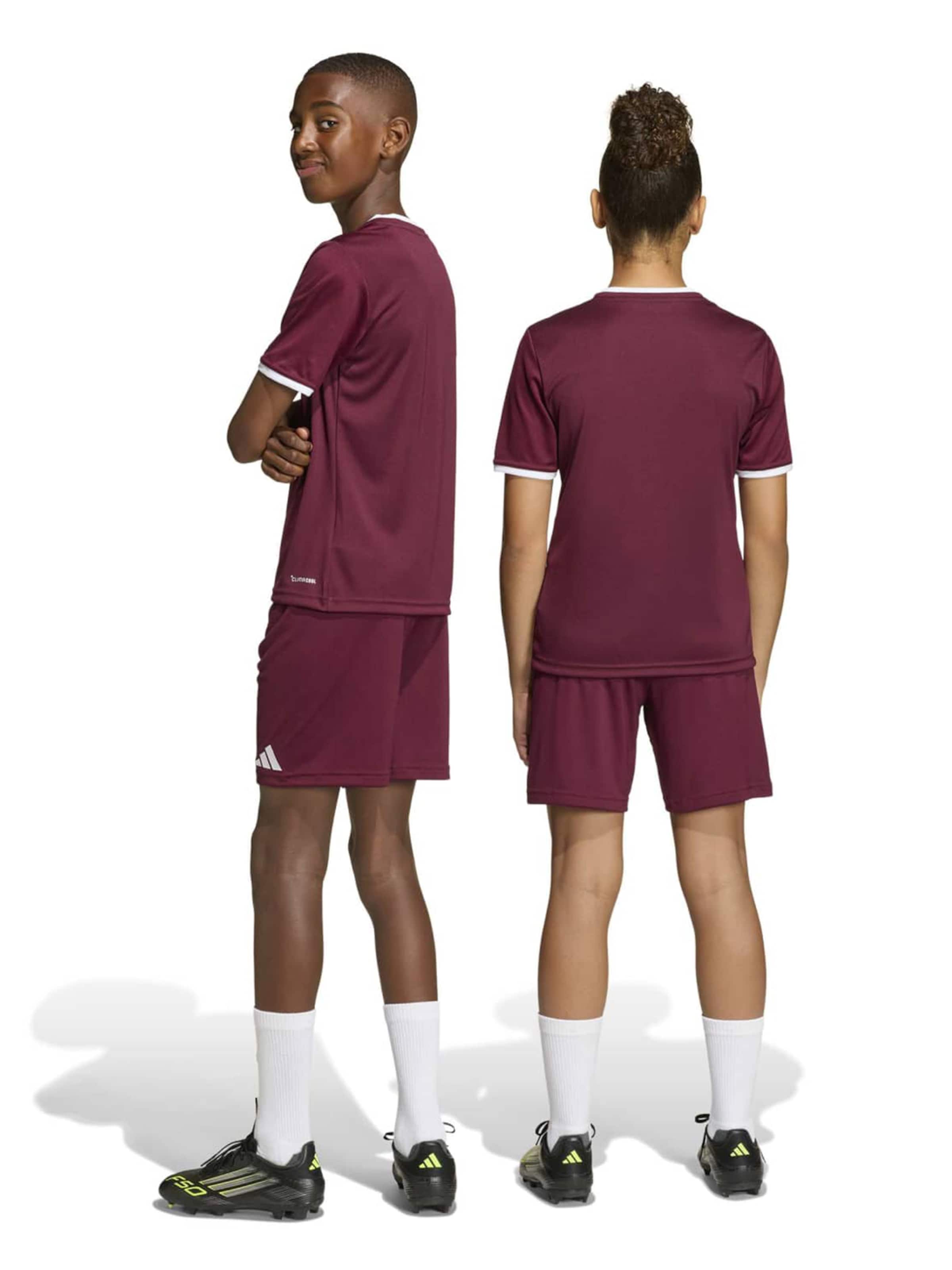 ADIDAS PERFORMANCE - regular Pantalón deportivo 'ENT26' en rojo