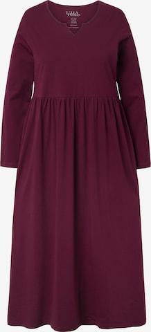 Ulla Popken Dress in Purple: front