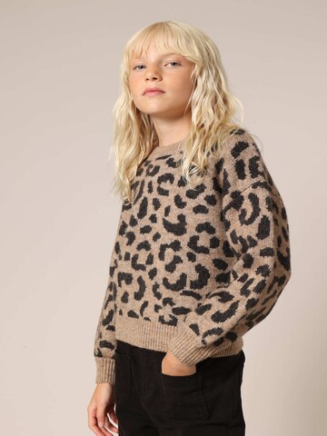 Deeluxe Pullover 'Nawa' in Braun