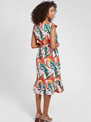 Shiwi Φόρεμα σε ανάμεικτα χρώματα