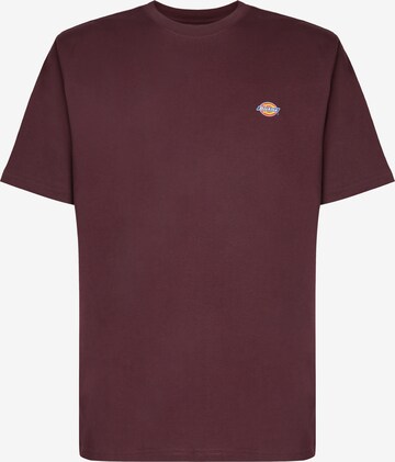 T-Shirt 'Mapleton' DICKIES en marron : devant