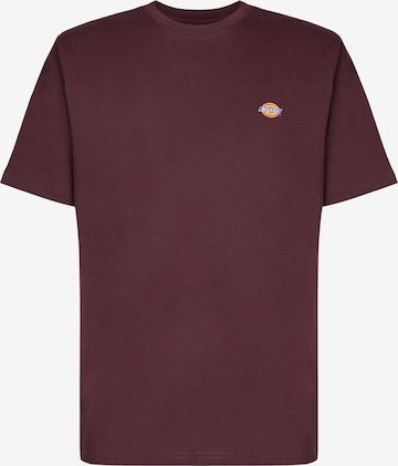 DICKIES T-Shirt 'Mapleton' in Braun: predná strana