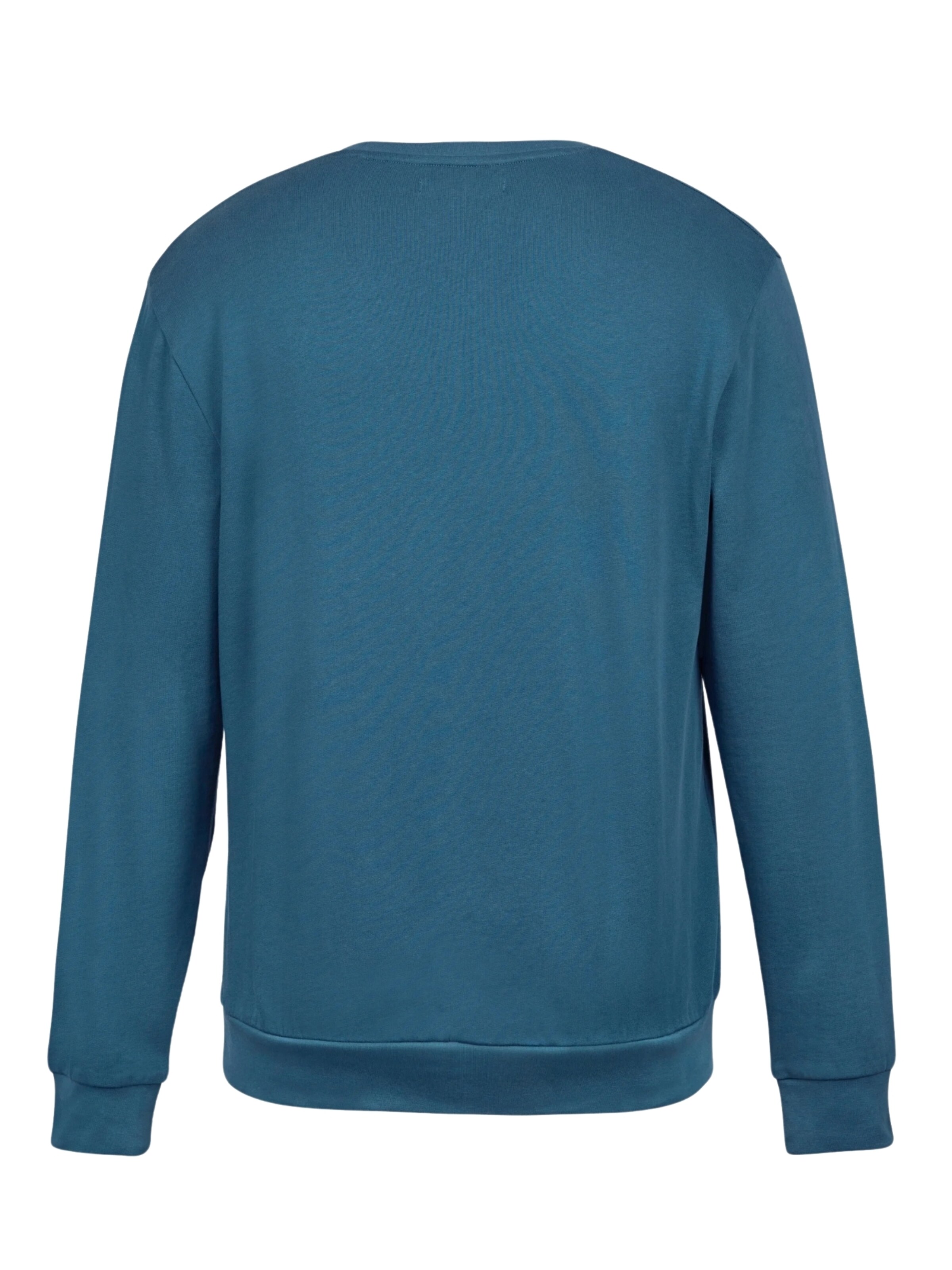U.S. POLO ASSN. Sweatshirt 'UMHugo' in Green