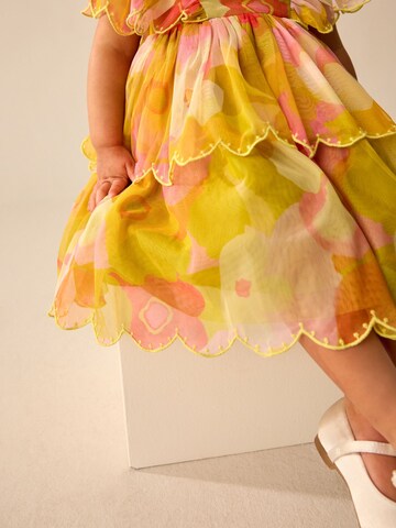 Next Kleid in Mischfarben