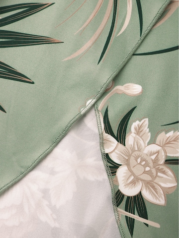 LapaPlus Kleid in Grün