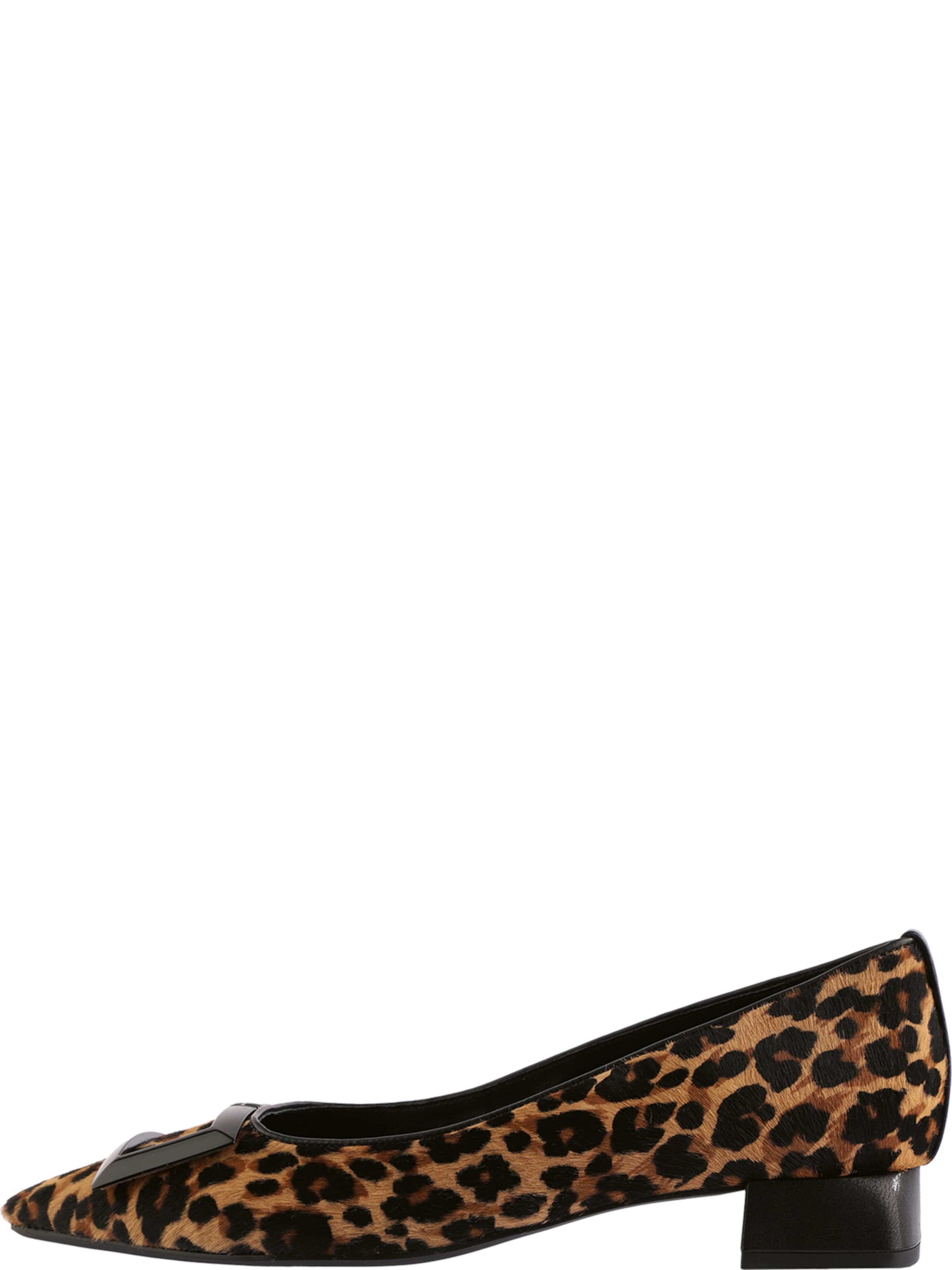 Décolleté 'Leo' di Högl in marrone: frontale