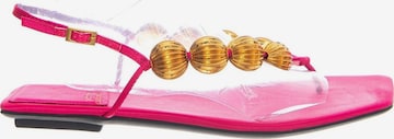 Jeffrey Campbell Sandale 'YUCATAN FUCHSIA SATIN GOLD' in Pink: Vorderseite