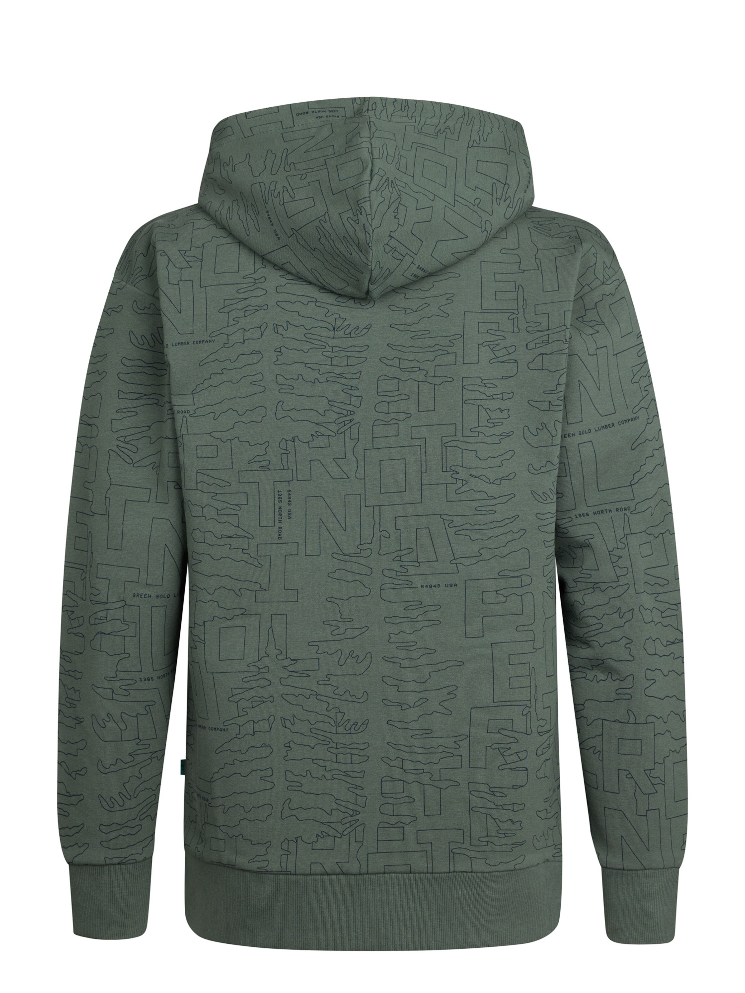 Petrol Industries Sweatshirt 'Blue Ridge' in Green