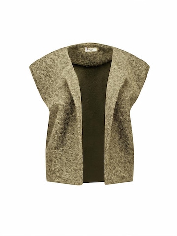 Veste mi-saison Deeluxe en vert : devant