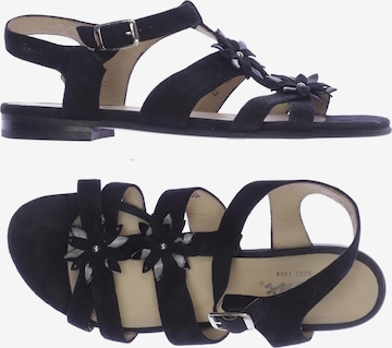 SIOUX Sandals & High-Heeled Sandals in 38 in Black: front