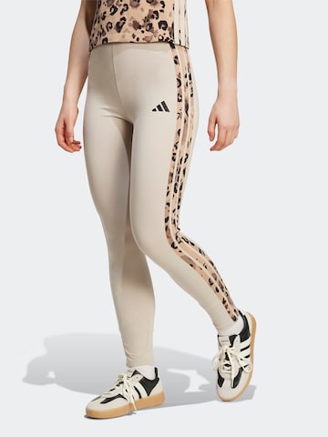 brūns ADIDAS SPORTSWEAR Piegulošs Sporta bikses: no priekšpuses