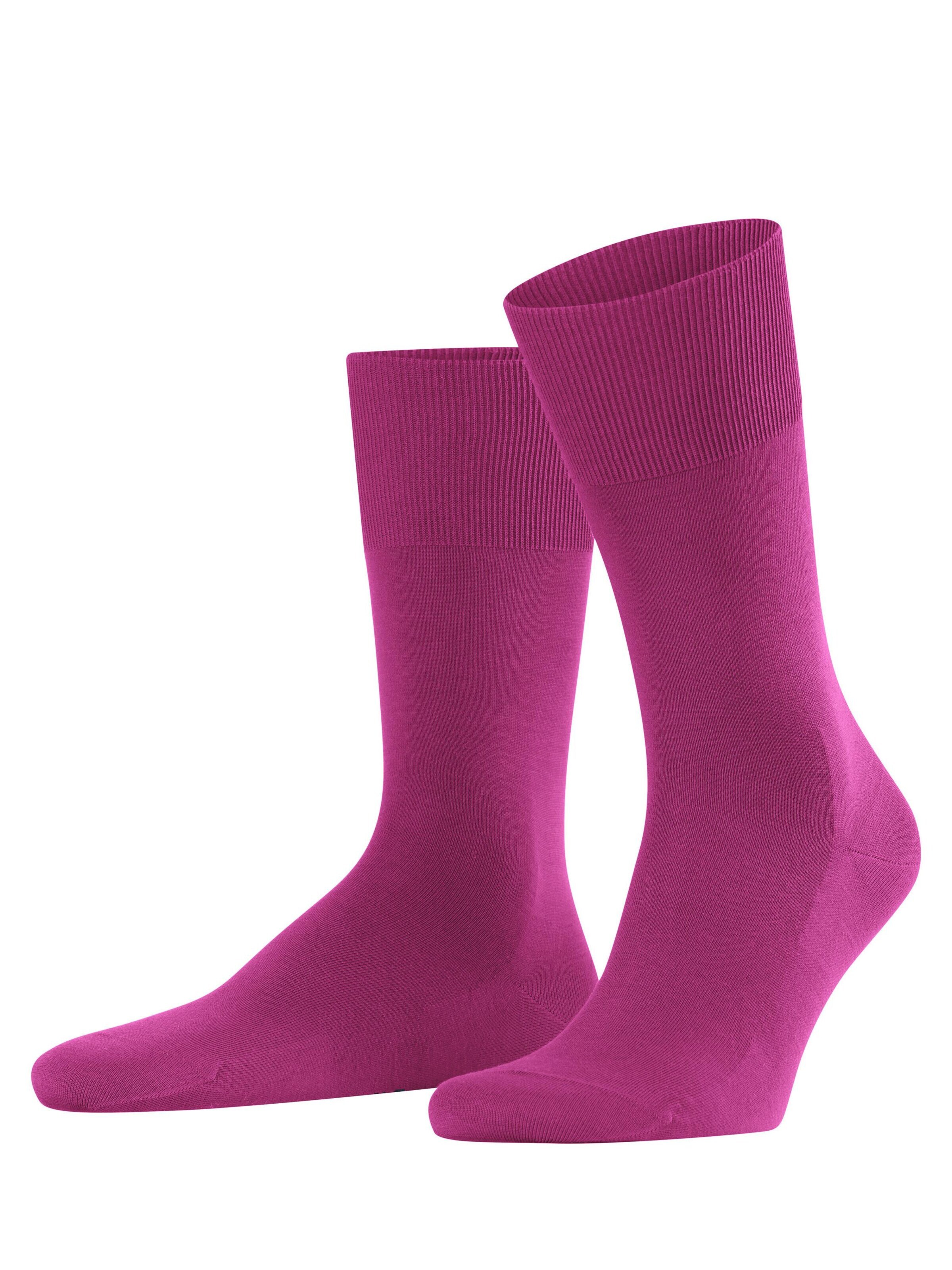FALKE Socken 'ClimaWool'‌‌‌‌‌‌‌‌‌ in Lila: Vorderseite