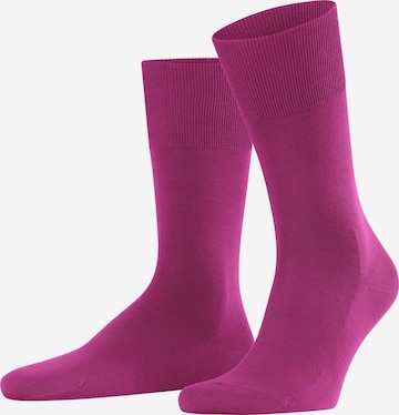FALKE Socken 'ClimaWool' in Lila: Vorderseite